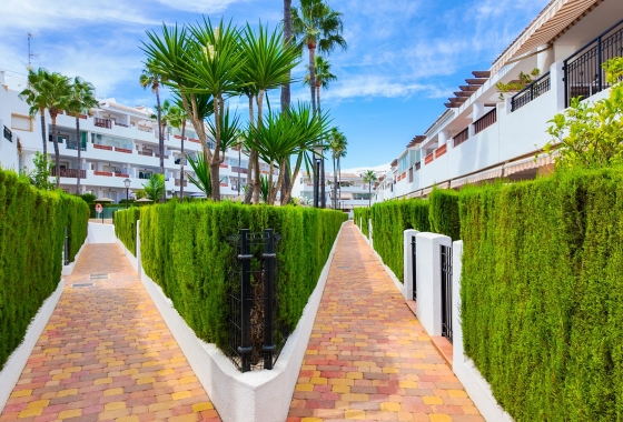 Rynek wtórny - Apartament - Orihuela Costa - Villamartín