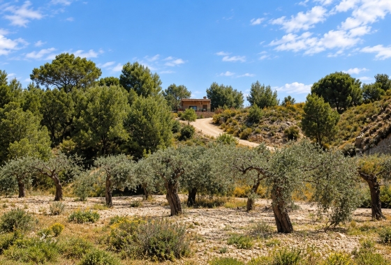 Reventa - Villa - Murcia