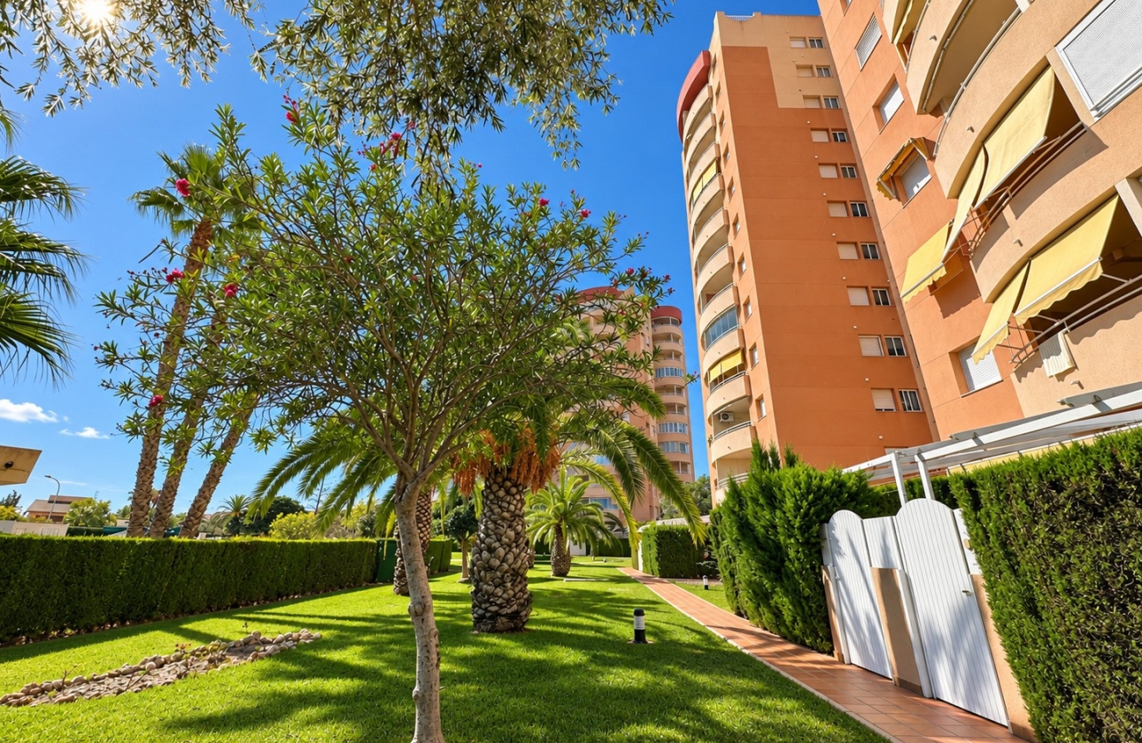 Reventa - Apartment / Duplex - Orihuela Costa - Campoamor