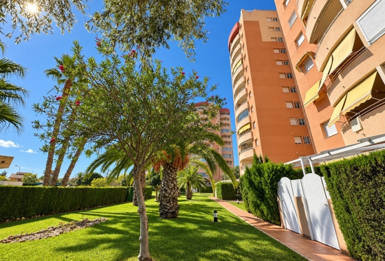 Reventa - Apartment / Duplex - Orihuela Costa - Campoamor