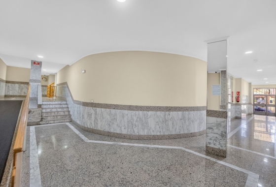 Reventa - Apartment - Torrevieja - Centro