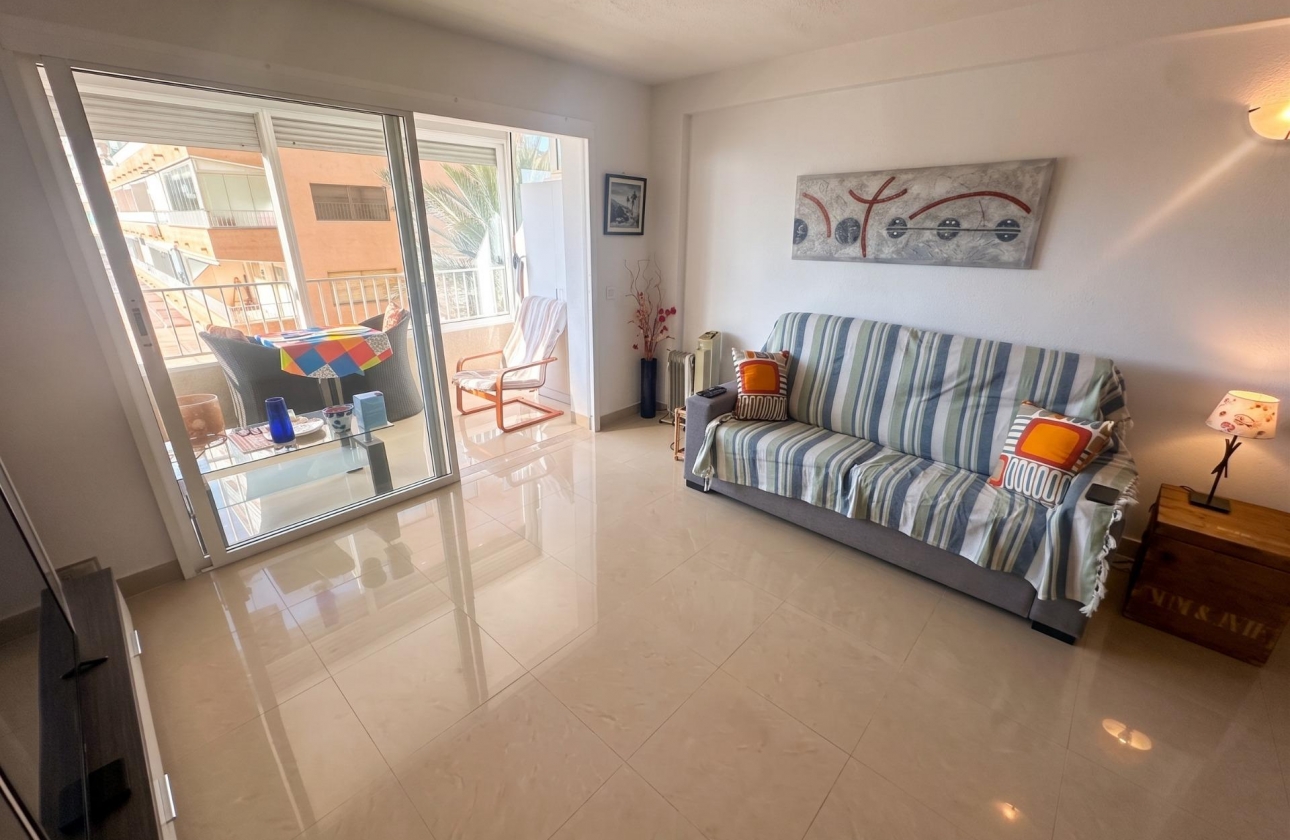 Reventa - Estudio - Guardamar del Segura - Lomas de Polo-Pinomar