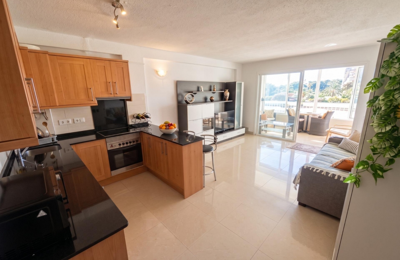 Reventa - Estudio - Guardamar del Segura - Lomas de Polo-Pinomar