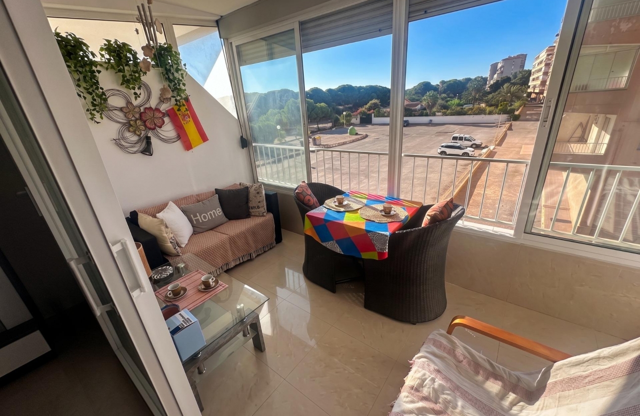 Reventa - Estudio - Guardamar del Segura - Lomas de Polo-Pinomar