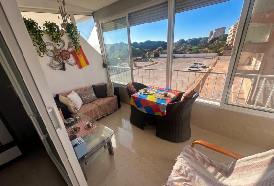 Reventa - Estudio - Guardamar del Segura - Lomas de Polo-Pinomar