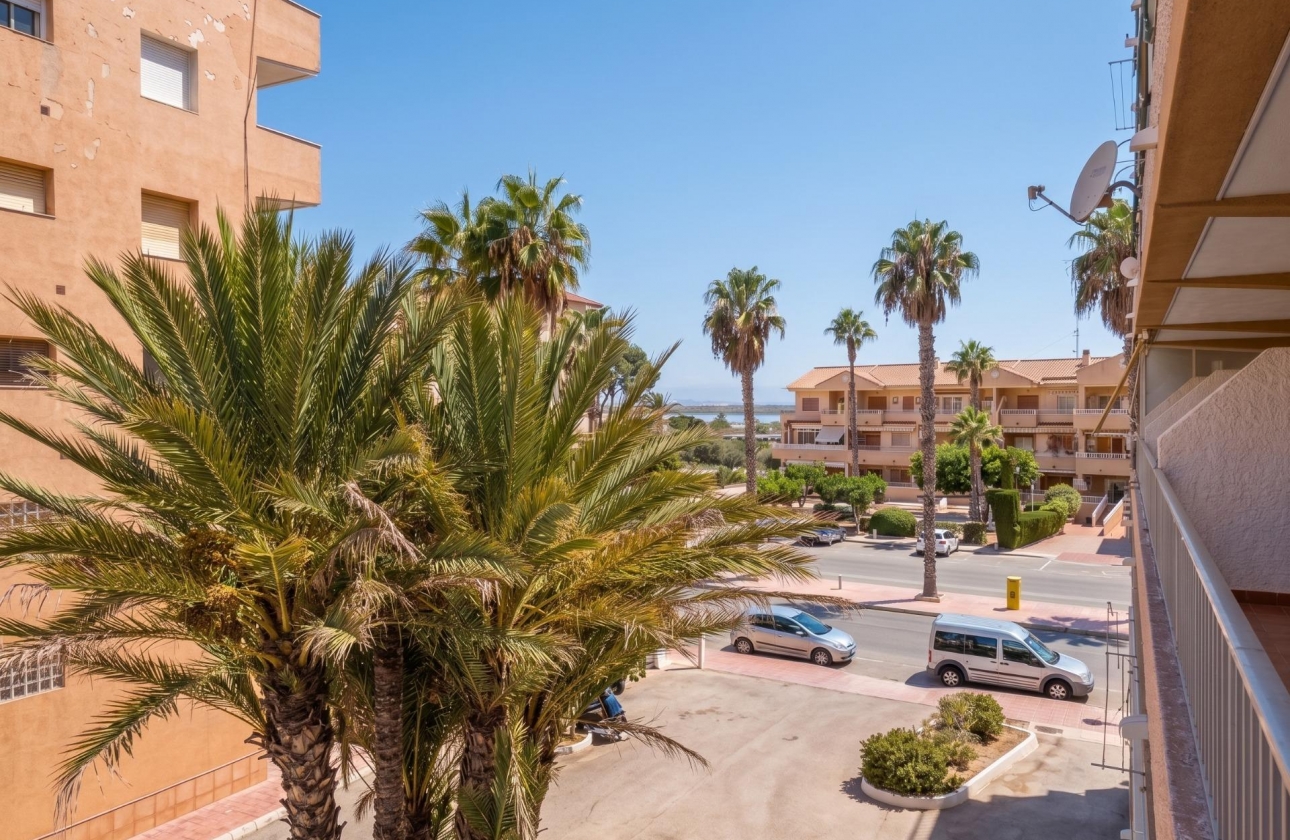 Reventa - Estudio - Guardamar del Segura - Lomas de Polo-Pinomar