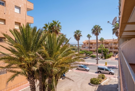 Reventa - Estudio - Guardamar del Segura - Lomas de Polo-Pinomar