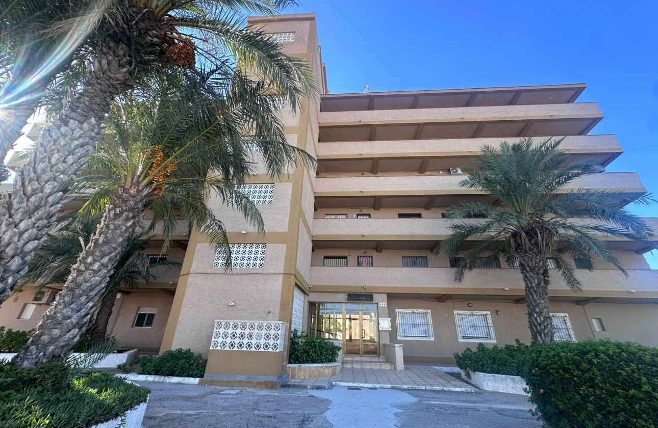 Reventa - Estudio - Guardamar del Segura - Lomas de Polo-Pinomar