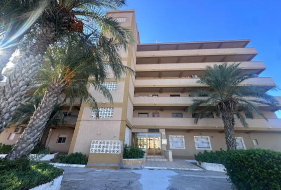 Reventa - Estudio - Guardamar del Segura - Lomas de Polo-Pinomar