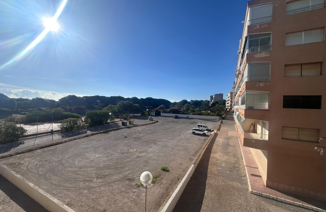 Reventa - Estudio - Guardamar del Segura - Lomas de Polo-Pinomar