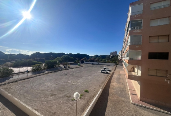 Reventa - Estudio - Guardamar del Segura - Lomas de Polo-Pinomar