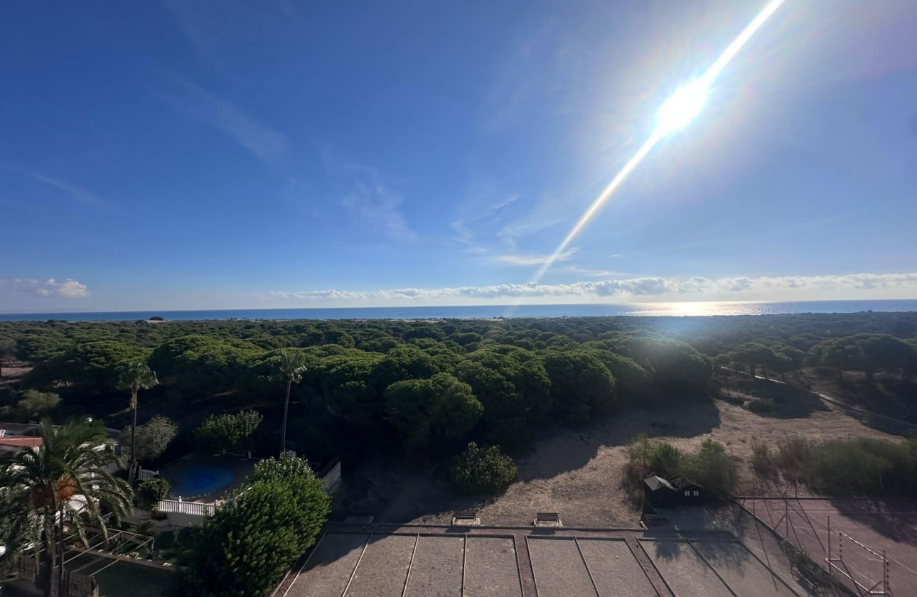Reventa - Estudio - Guardamar del Segura - Lomas de Polo-Pinomar