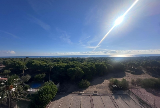 Reventa - Estudio - Guardamar del Segura - Lomas de Polo-Pinomar