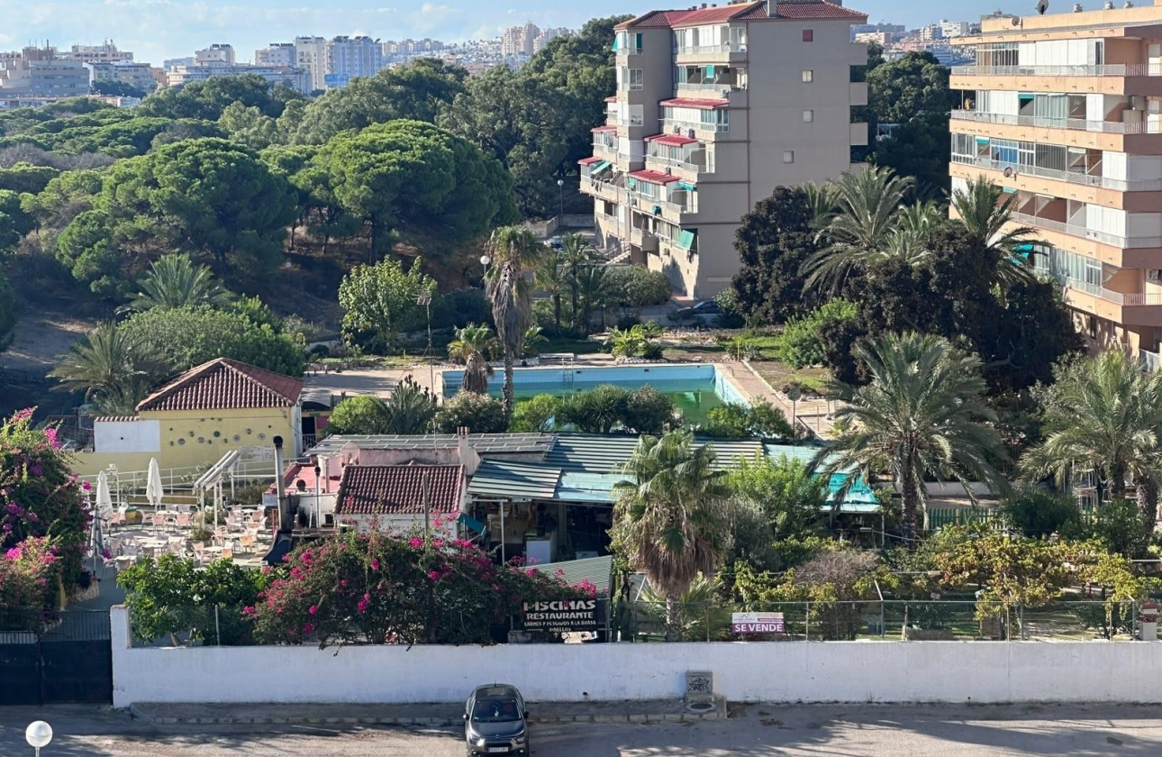 Reventa - Estudio - Guardamar del Segura - Lomas de Polo-Pinomar