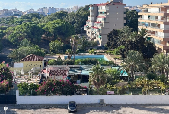 Reventa - Estudio - Guardamar del Segura - Lomas de Polo-Pinomar