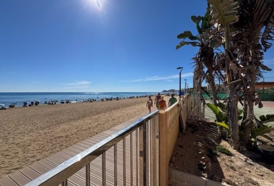 Rynek wtórny - Apartament - Torrevieja - Los Europeos