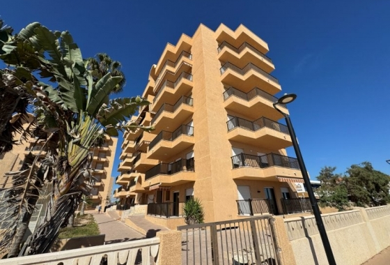 Rynek wtórny - Apartament - Torrevieja - Los Europeos
