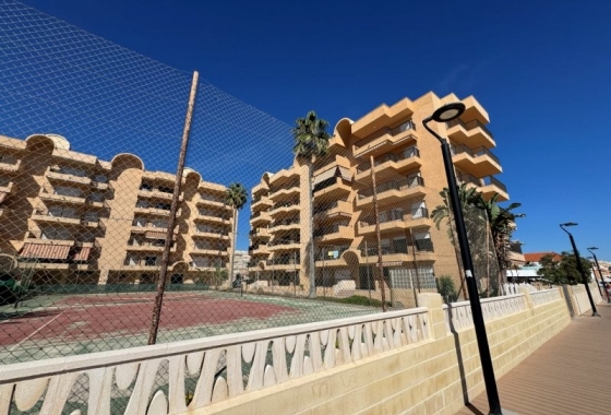 Rynek wtórny - Apartament - Torrevieja - Los Europeos