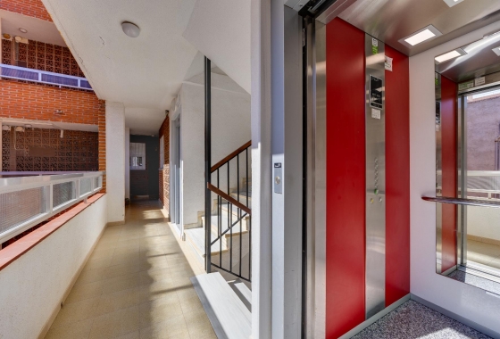 Resale - Apartment - Torrevieja - Acequion