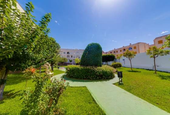 Reventa - Ático - Torrevieja - Acequion