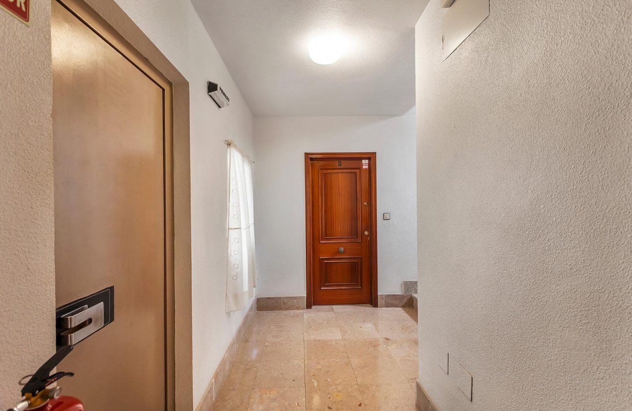 Reventa - Apartment - Torrevieja - Playa de los Locos