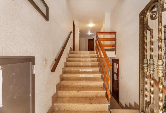 Reventa - Apartment - Torrevieja - Playa de los Locos