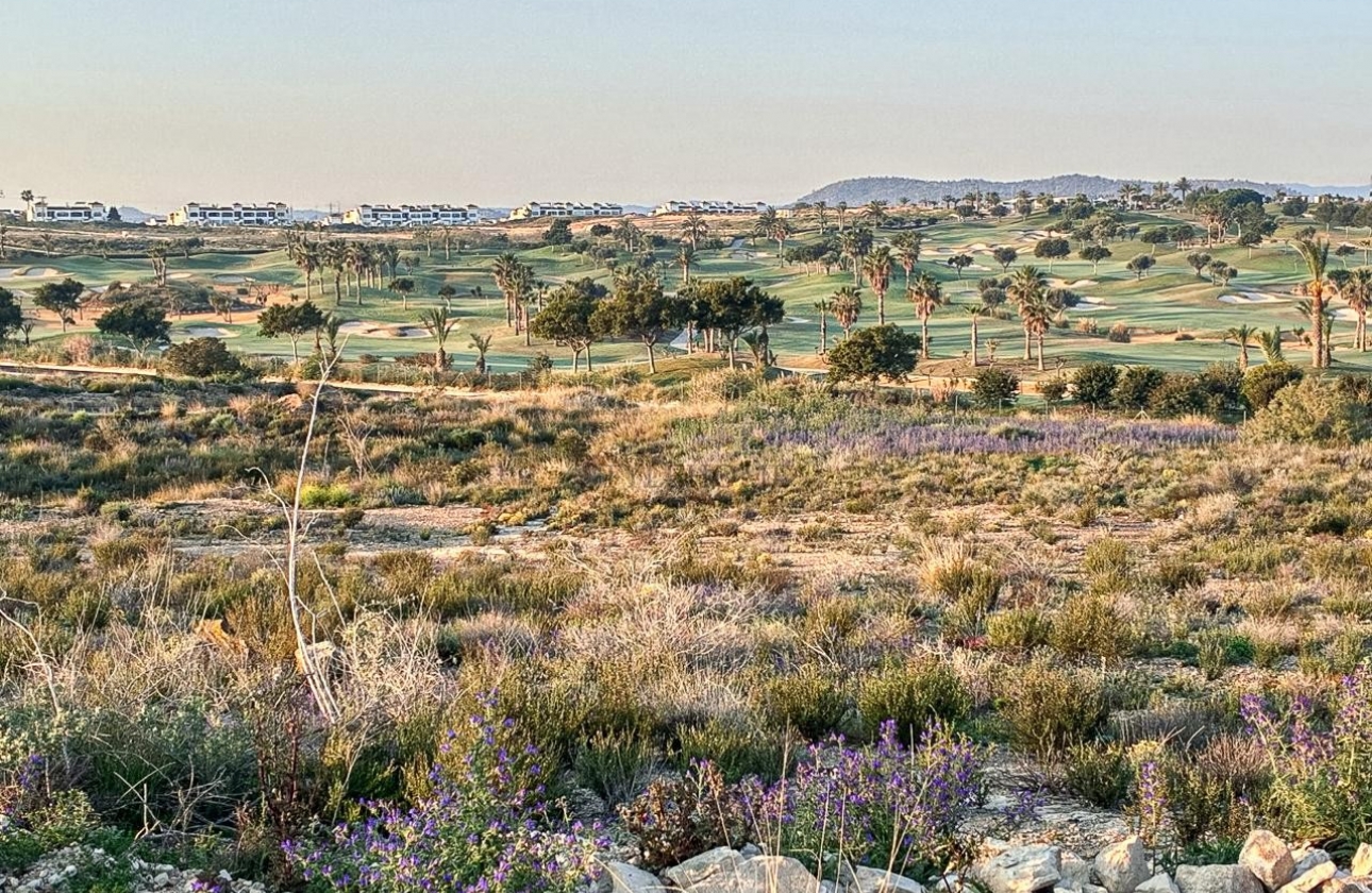 Reventa - Apartment - Orihuela Costa - Entre Naranjos Vistabella Golf