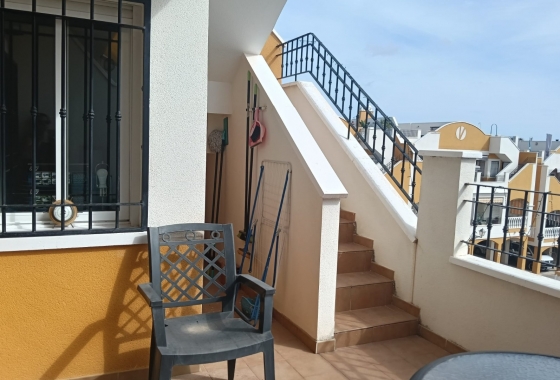 Reventa - Apartment - Los Montesinos - Urbanizacion montesol