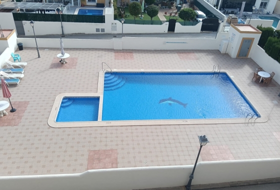Reventa - Apartment - Los Montesinos - Urbanizacion montesol