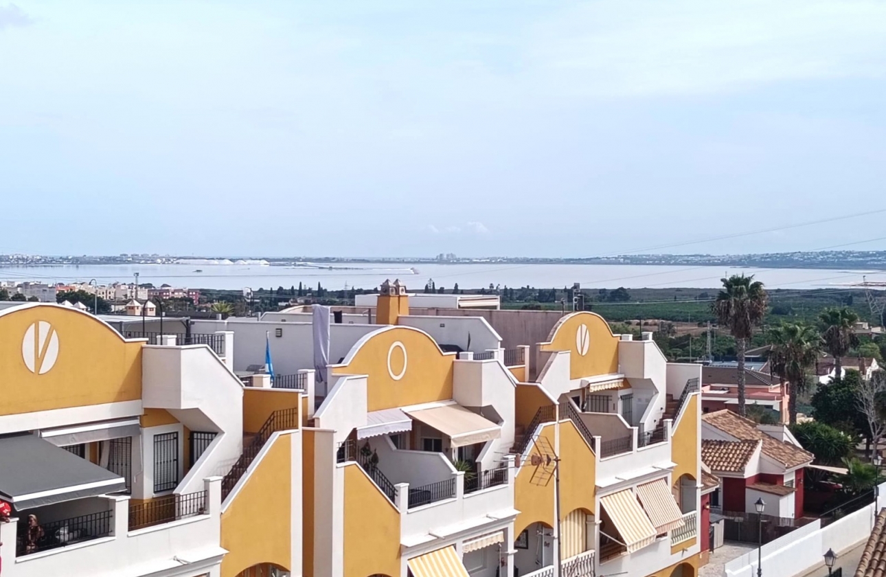 Reventa - Apartment - Los Montesinos - Urbanizacion montesol