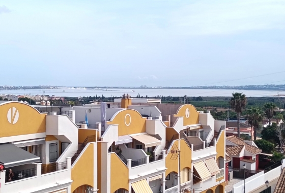 Reventa - Apartment - Los Montesinos - Urbanizacion montesol