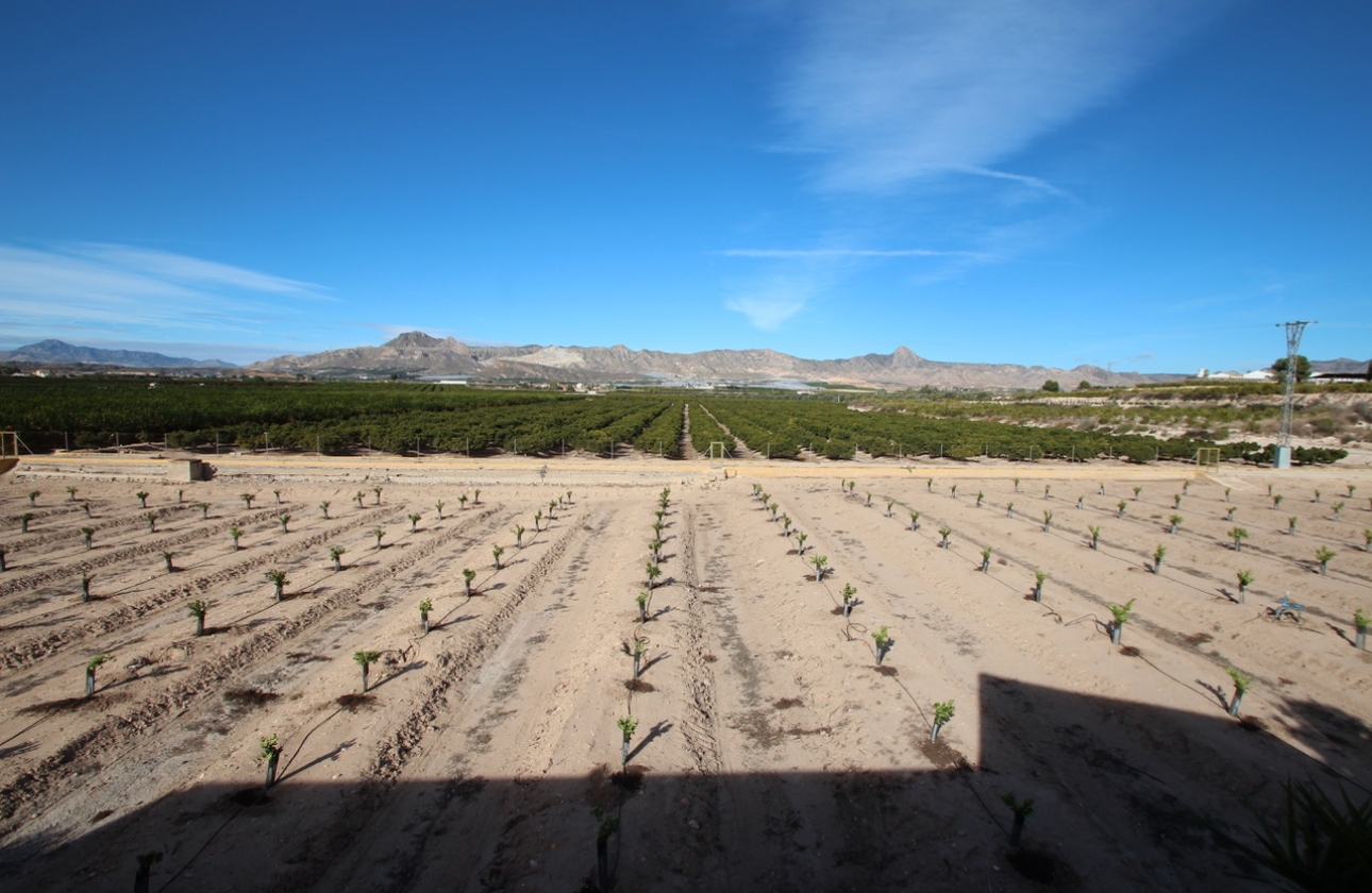 Reventa - Finca / Country House - Murcia - Costa Blanca Sur