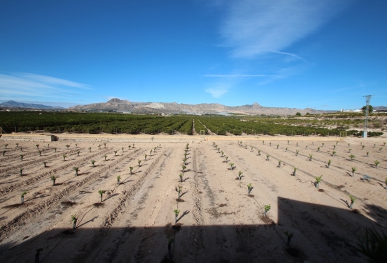 Reventa - Finca / Country House - Murcia - Costa Blanca Sur