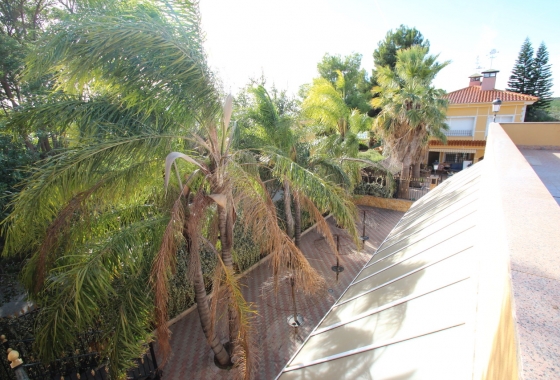 Reventa - Finca / Country House - Murcia - Costa Blanca Sur