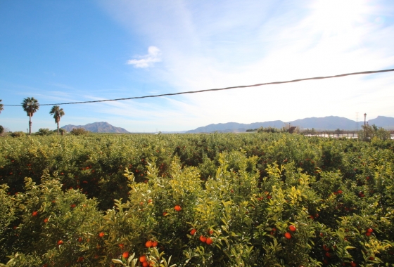 Reventa - Finca / Country House - Murcia - Costa Blanca Sur