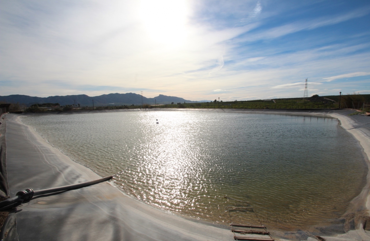 Reventa - Finca / Country House - Murcia - Costa Blanca Sur