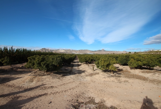 Reventa - Finca / Country House - Murcia - Costa Blanca Sur