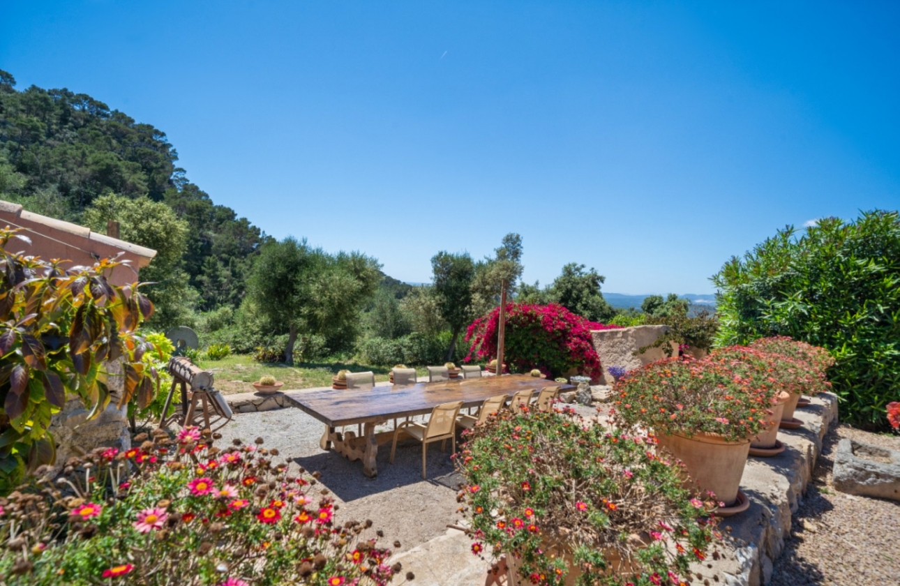 Reventa - Finca / Country House - Felanitx - Mallorca