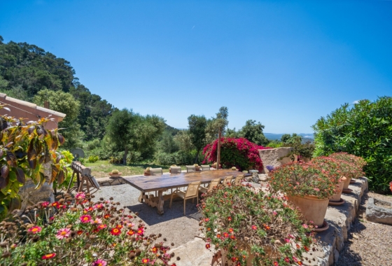Reventa - Finca / Country House - Felanitx - Mallorca