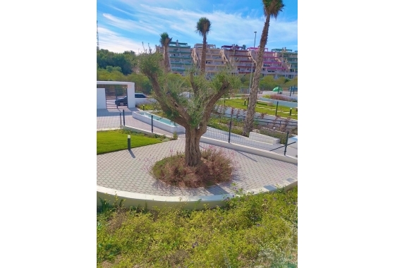 Resale - Apartment - Orihuela - Costa Blanca Sur