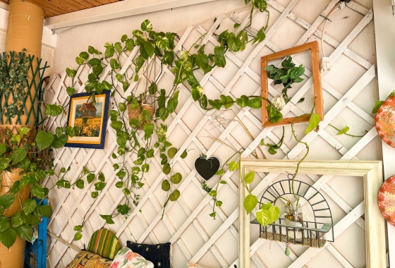 Reventa - Apartment - Torrevieja - Centro