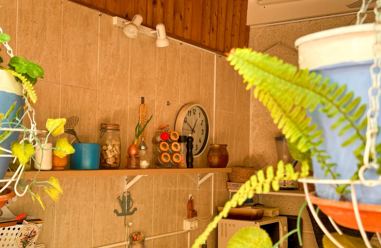 Reventa - Apartment - Torrevieja - Centro