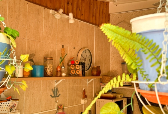 Reventa - Apartment - Torrevieja - Centro