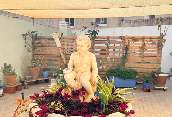 Reventa - Apartment - Torrevieja - Centro