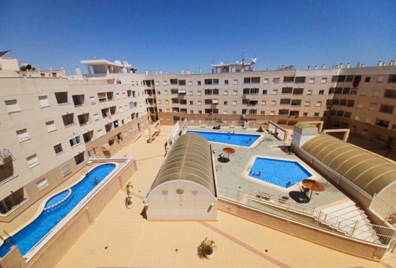 Reventa - Apartment - Torrevieja - Centro