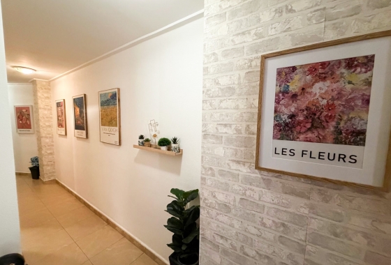 Reventa - Apartment - Torrevieja - Centro