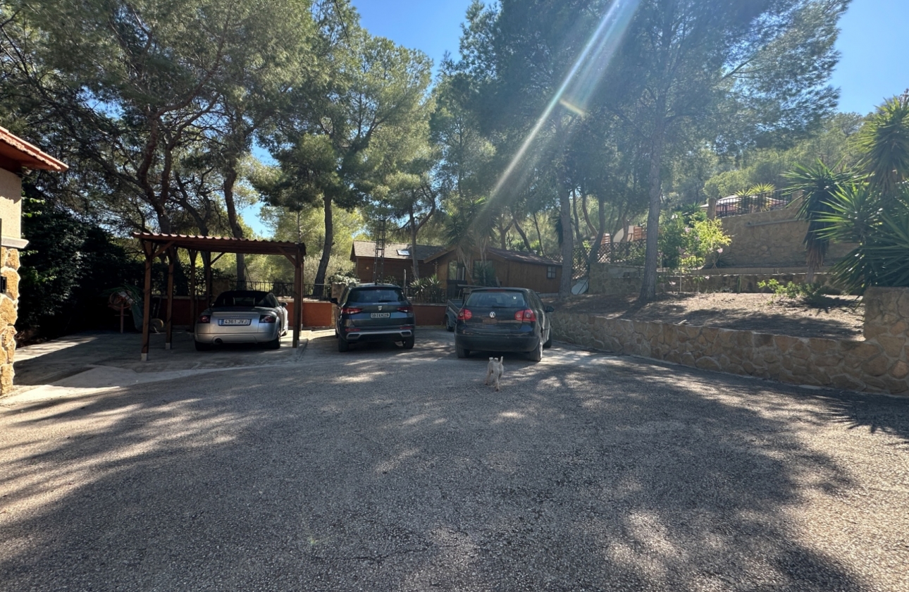Resale - Finca / Country House - San Miguel de Salinas - Costa Blanca Sur