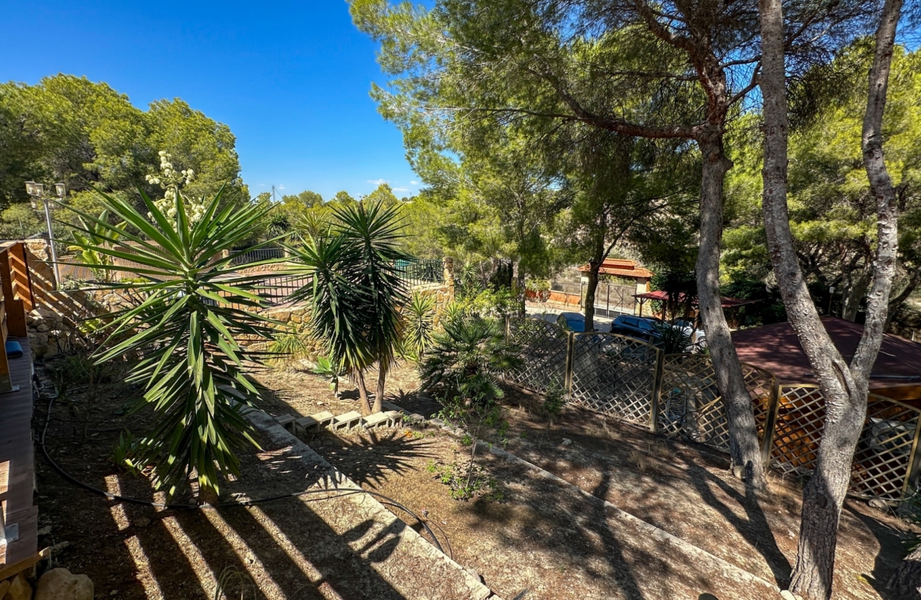 Resale - Finca / Country House - San Miguel de Salinas - Costa Blanca Sur