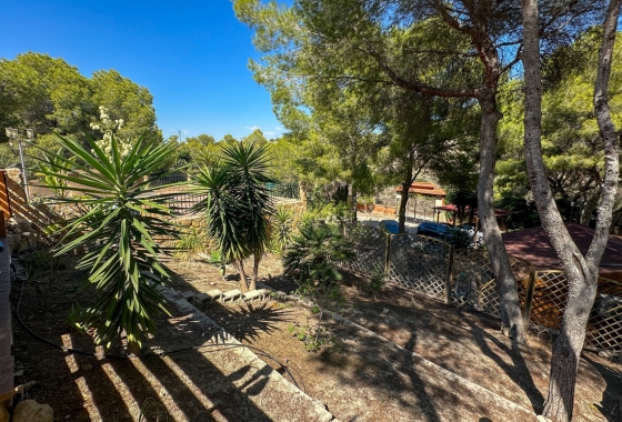 Resale - Finca / Country House - San Miguel de Salinas - Costa Blanca Sur