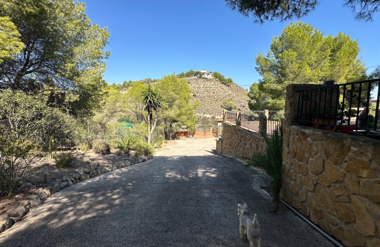 Resale - Finca / Country House - San Miguel de Salinas - Costa Blanca Sur